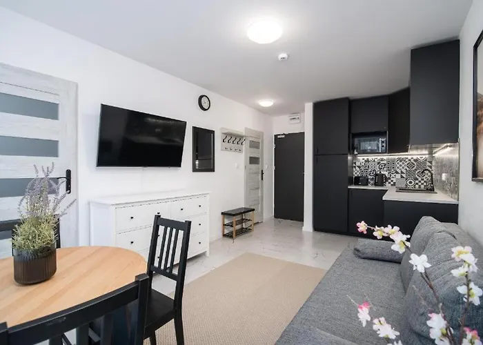 Apartament Sun Terrace Rozewska 44 A01 Jastrzebia Gora * Jastrzębia Góra