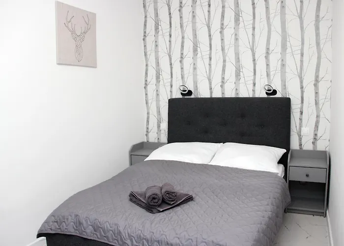 Apartament Sun Terrace Rozewska 44 A01 Jastrzebia Gora * Jastrzębia Góra